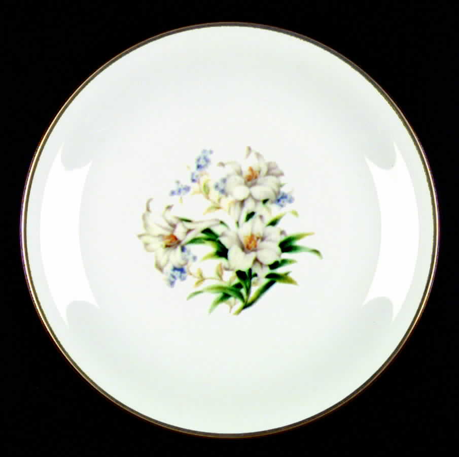 N237 Dinner Plate by Noritake-1