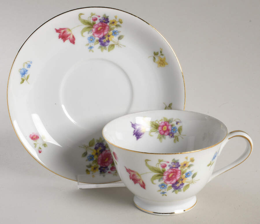 N250 Footed Cup & Saucer Set by Noritake-1