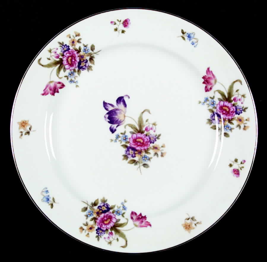 N250 Dinner Plate by Noritake-1