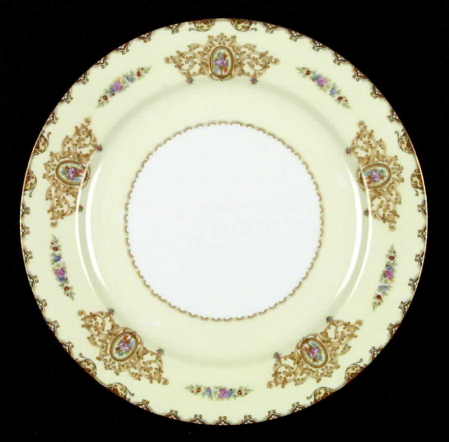 N257 Dinner Plate by Noritake-1