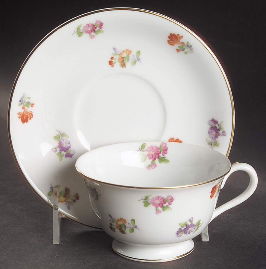 N263 Footed Cup & Saucer Set by Noritake-1