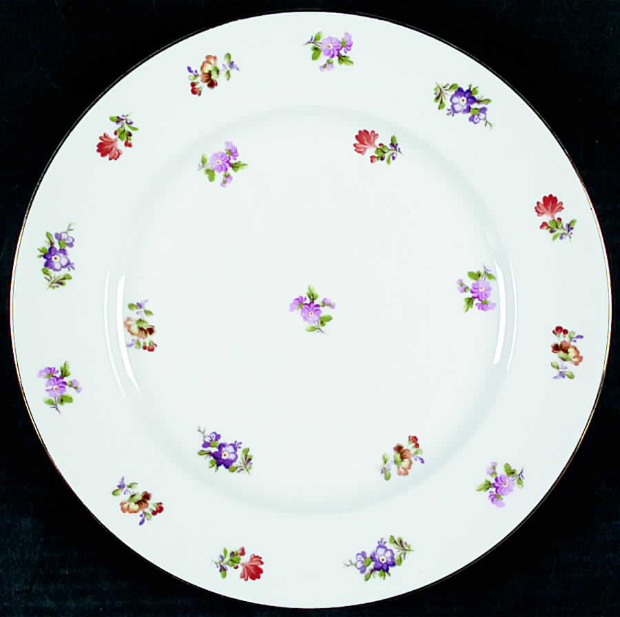 N263 Dinner Plate by Noritake-1