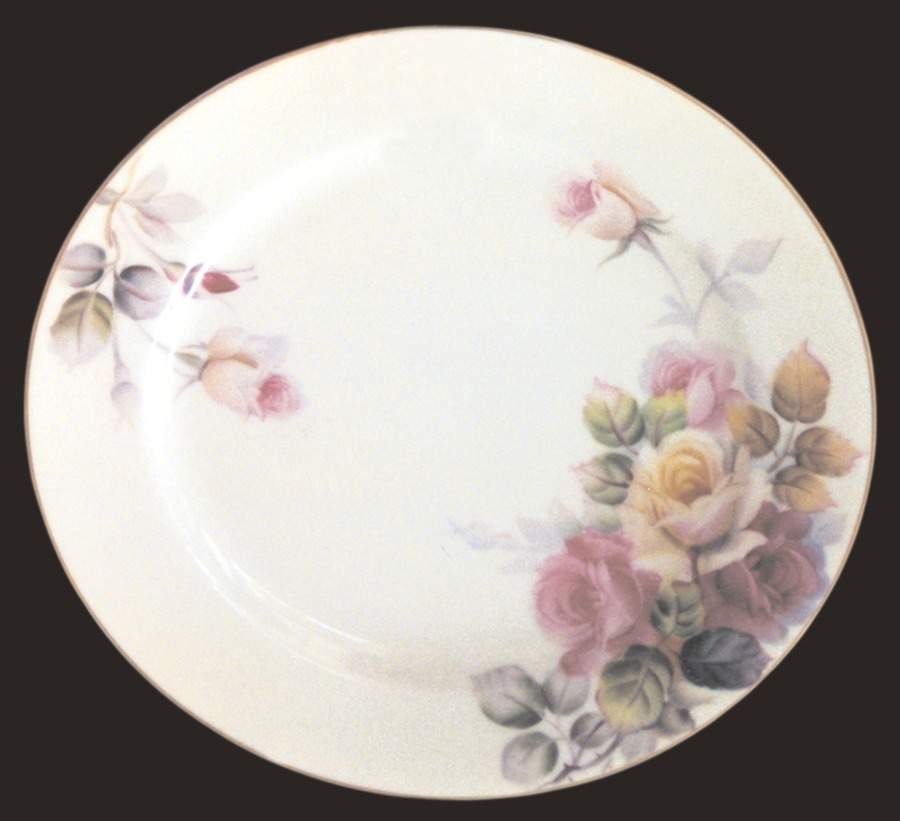 N435 Salad Plate by Noritake-1