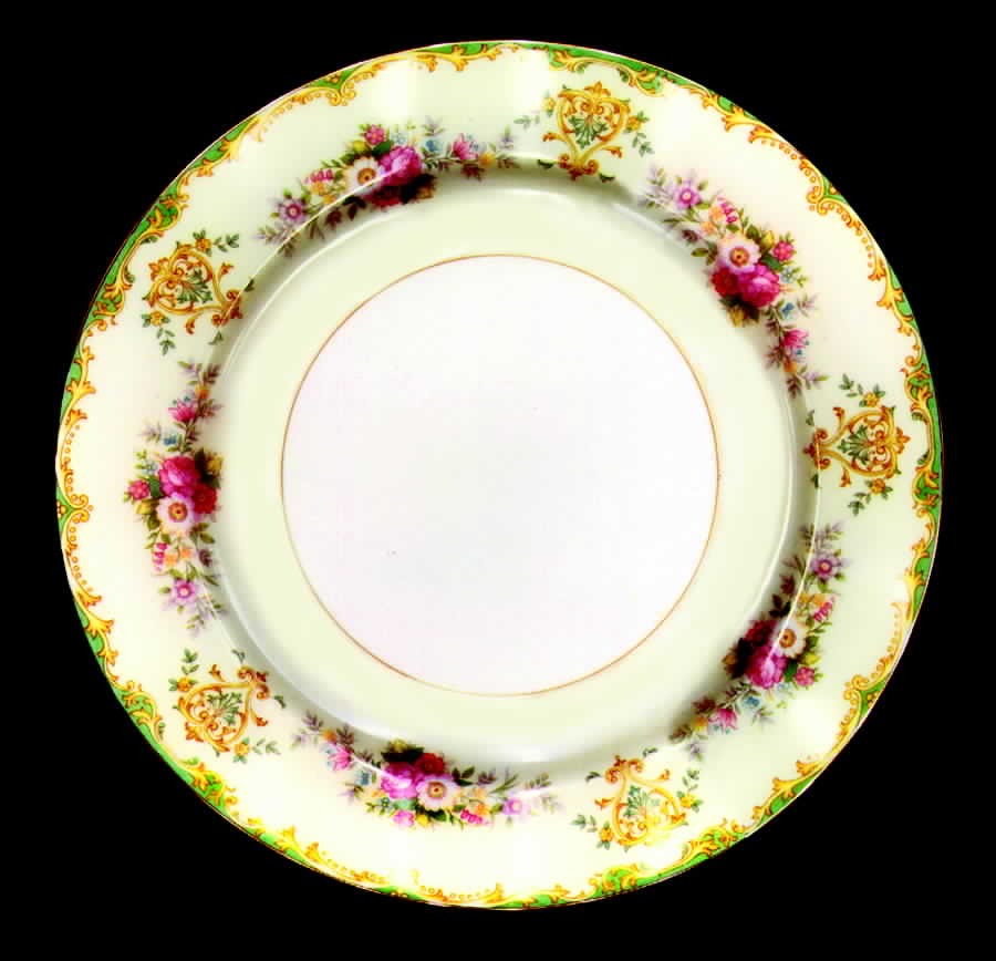N471 Dinner Plate by Noritake-1