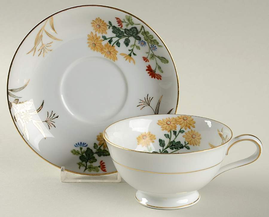 N509 Footed Cup & Saucer Set by Noritake-1
