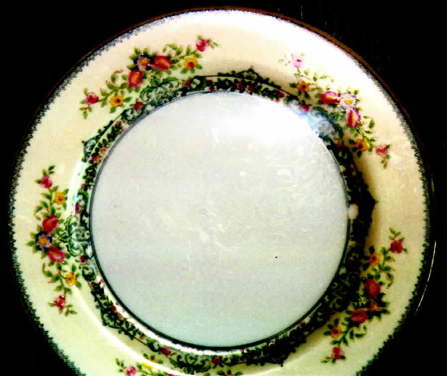 N513 Dinner Plate by Noritake-1