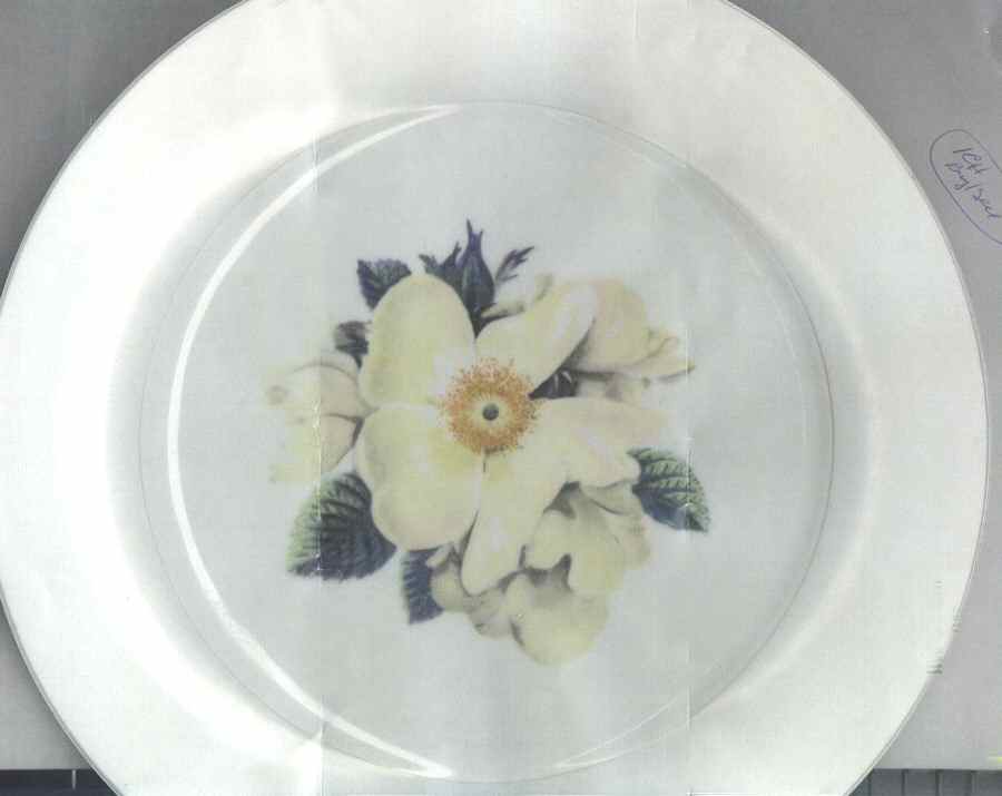 N586 Dinner Plate by Noritake-1