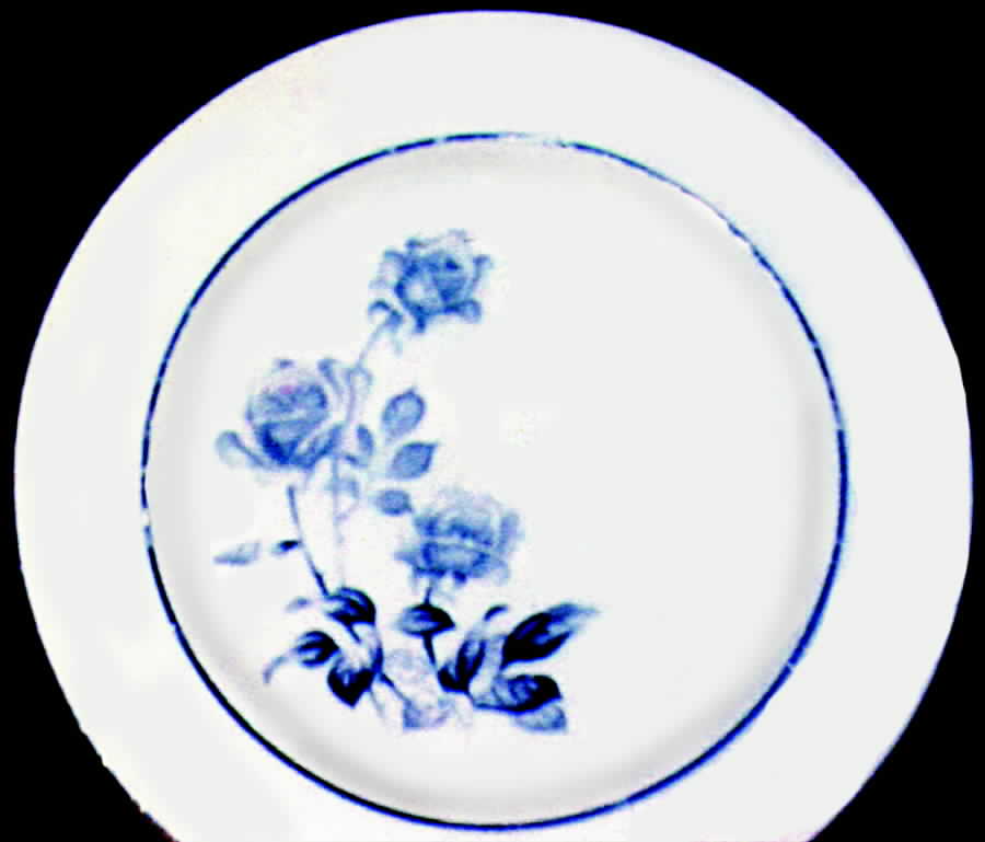 N701 Dinner Plate by Noritake-1