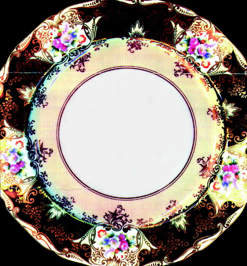 N731 Dinner Plate by Noritake-1