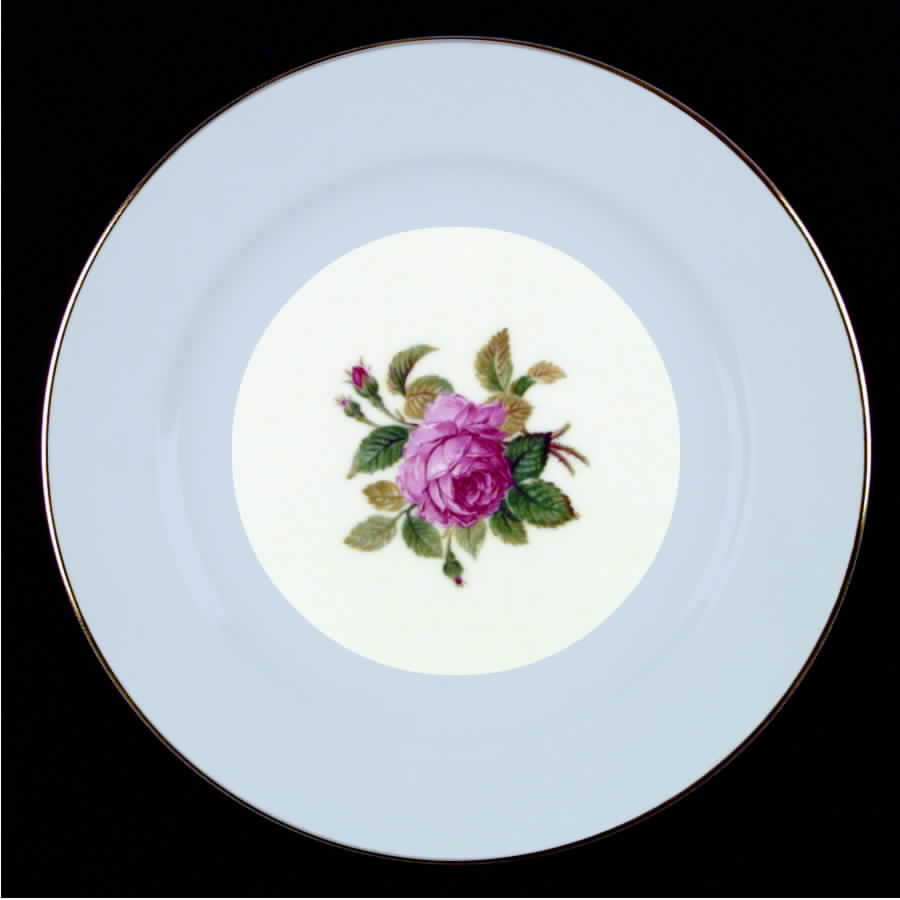 N745 Dinner Plate by Noritake-1