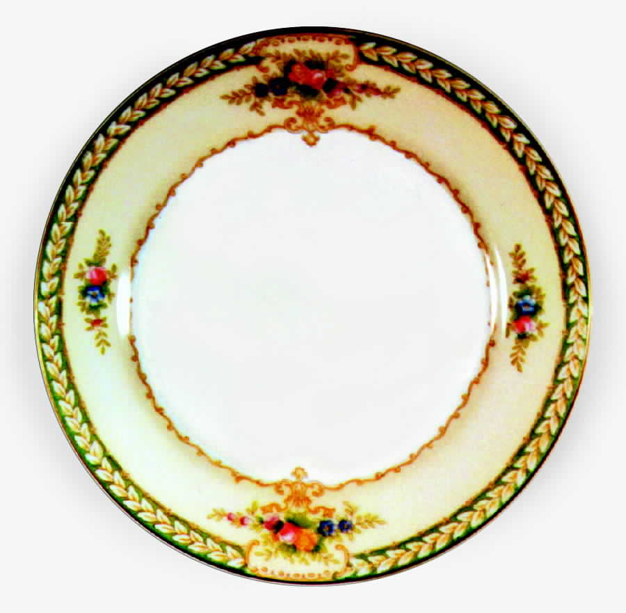 N892 Dinner Plate by Noritake-1