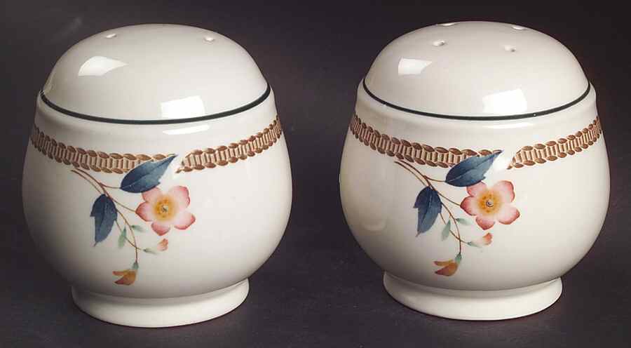Nature's Bounty Salt & Pepper Set by Noritake-1