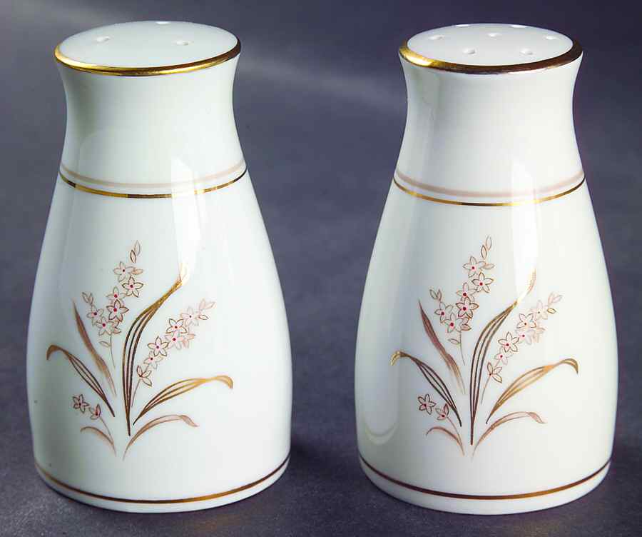 Neville Salt & Pepper Set by Noritake-1