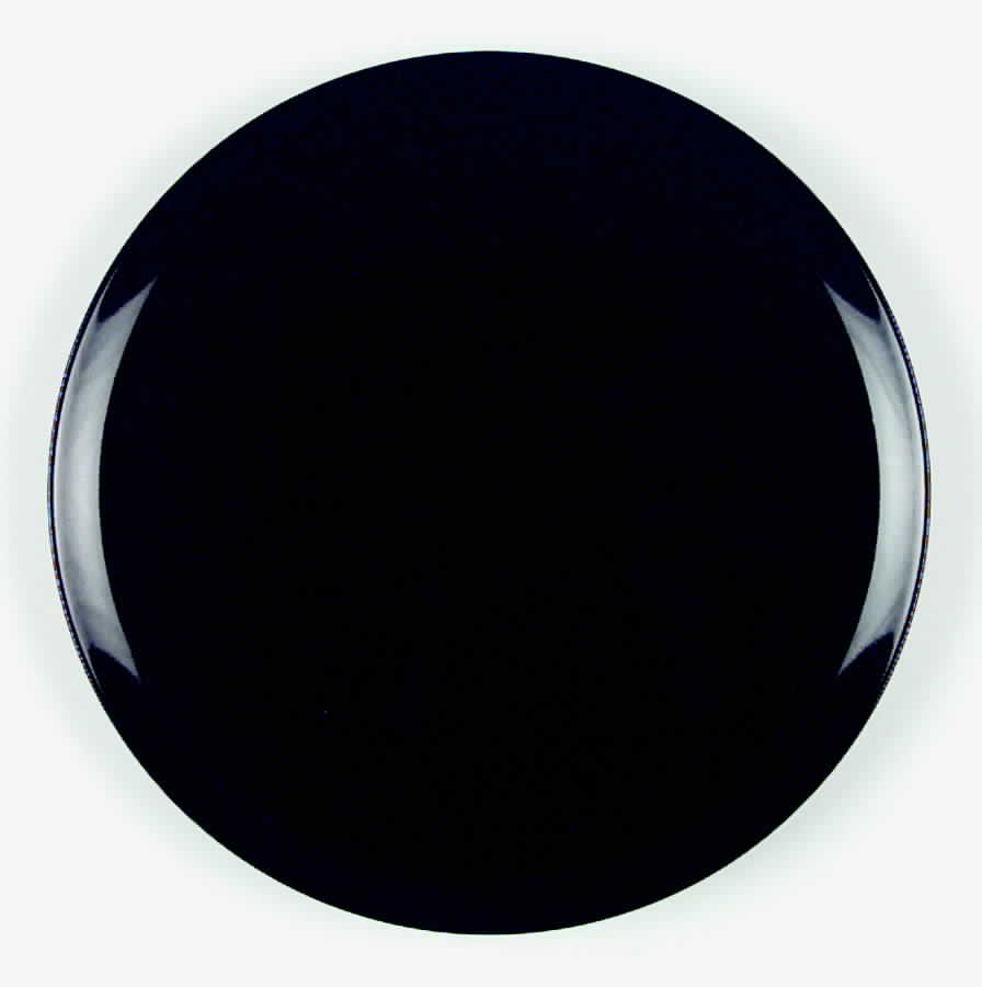 Options Black Dinner Plate by Noritake-1