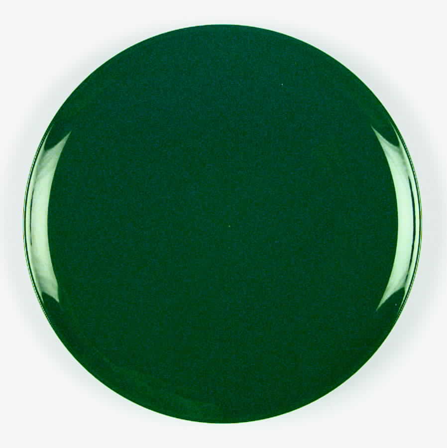 Options Green Dinner Plate by Noritake-1