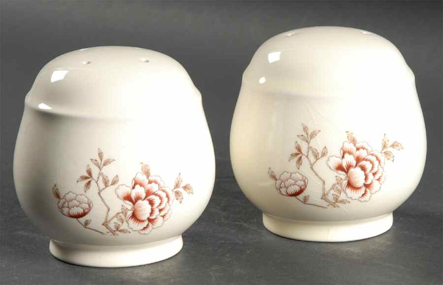 Oriental Dream Salt & Pepper Set by Noritake-1