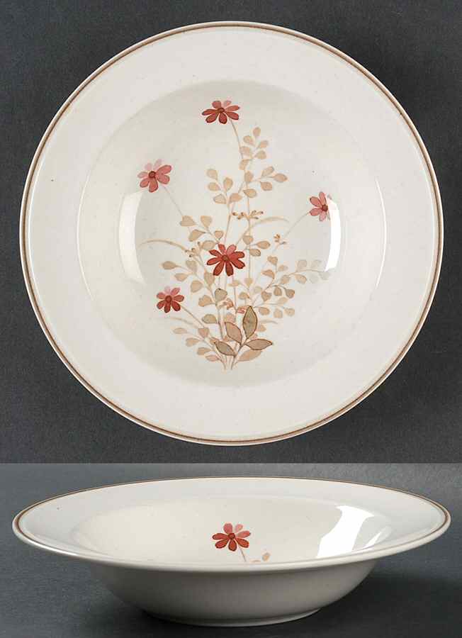 Outlook Rim Soup Bowl by Noritake-1