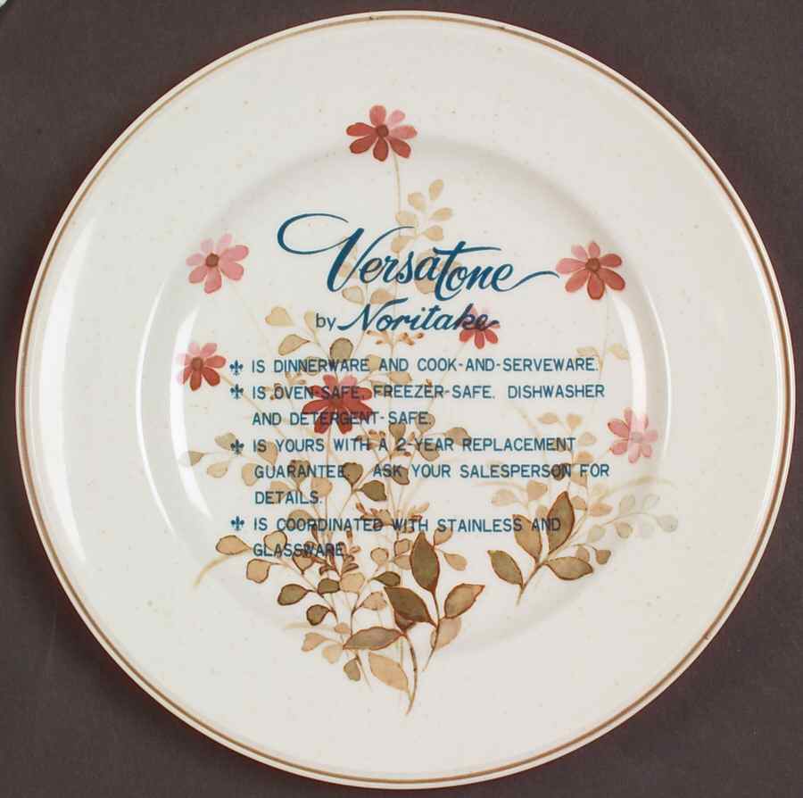 Outlook Advertising Salad Plate by Noritake-1