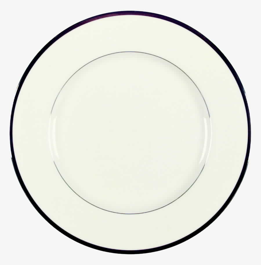 Paris Dinner Plate by Noritake-1
