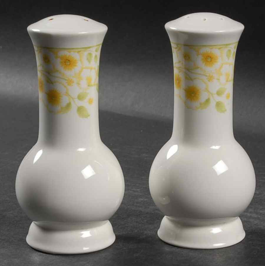 Parkside Salt & Pepper Set by Noritake-1