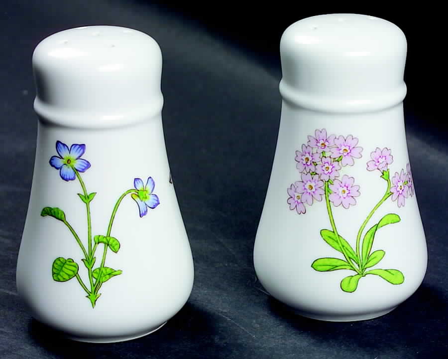 Petals Plus Salt & Pepper Set by Noritake-1
