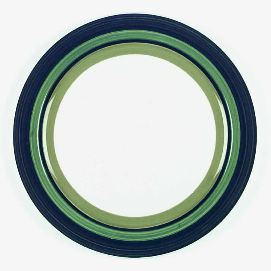 Picnic Dinner Plate by Noritake-1