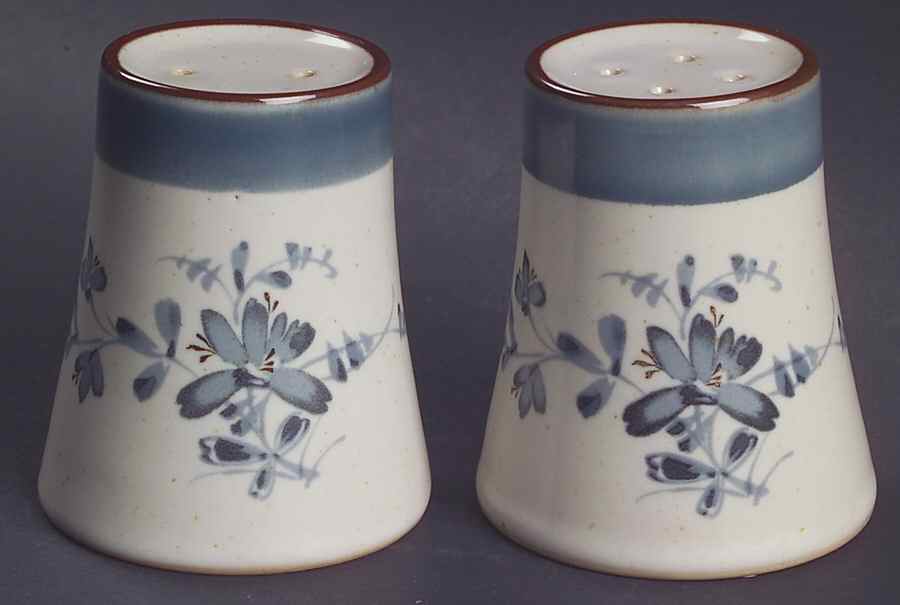 Pleasure Salt & Pepper Set by Noritake-1