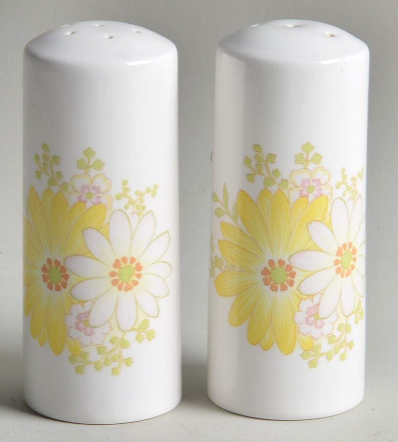 Potpourri Salt & Pepper Set by Noritake-1