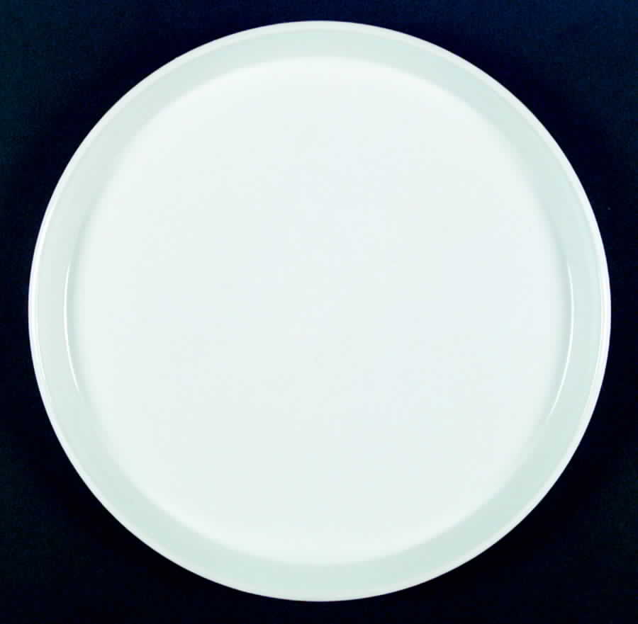 Primary Dinner Plate by Noritake-1