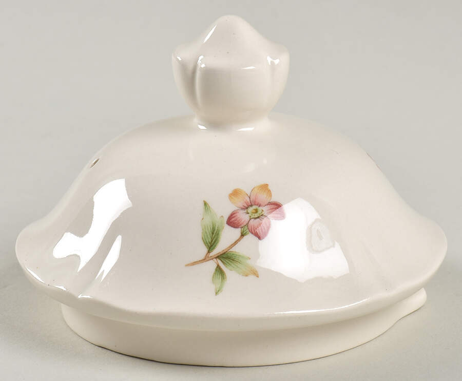 Rainbow Fruits Lid for Tea/Coffee Pot by Noritake-1