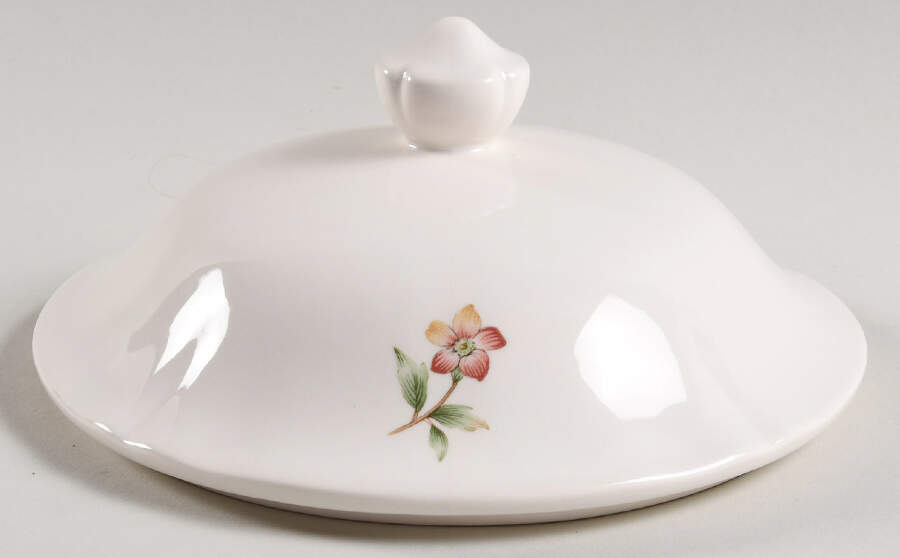 Rainbow Fruits Lid for Round Vegetable by Noritake-1