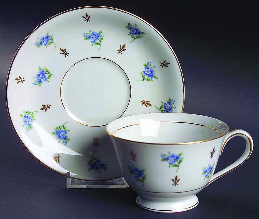 Remembrance Footed Cup & Saucer Set by Noritake-1