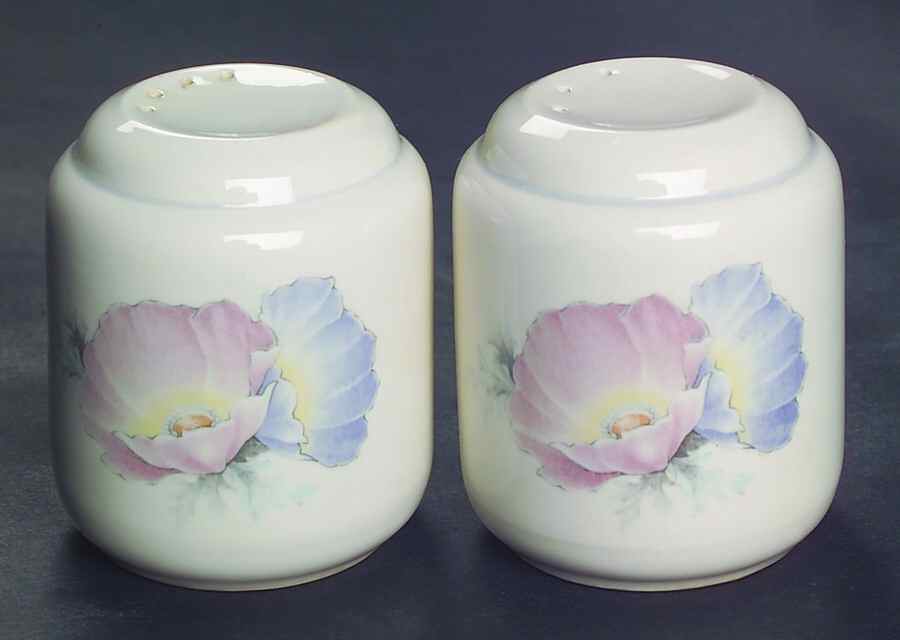 Ringlet Salt & Pepper Set by Noritake-1