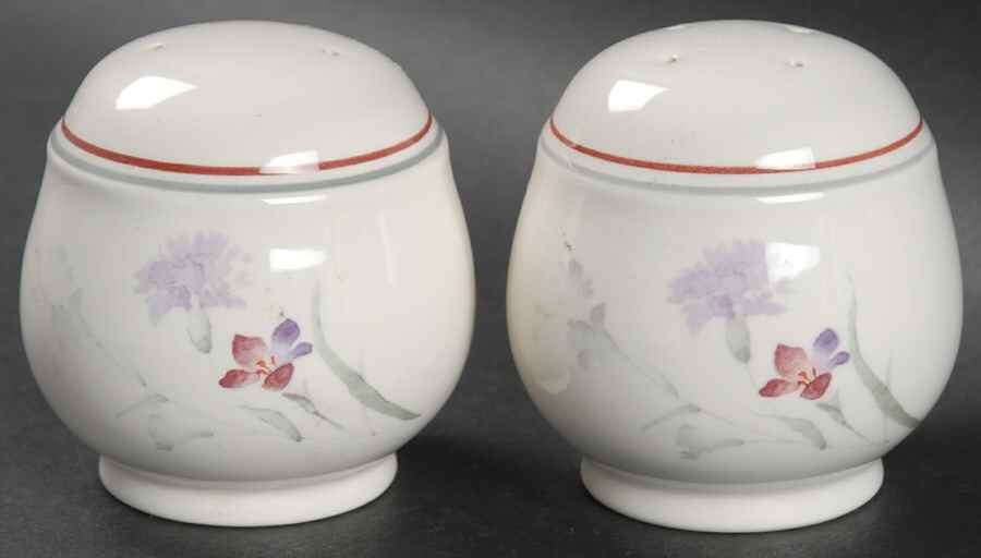 River Oaks Salt & Pepper Set by Noritake-1