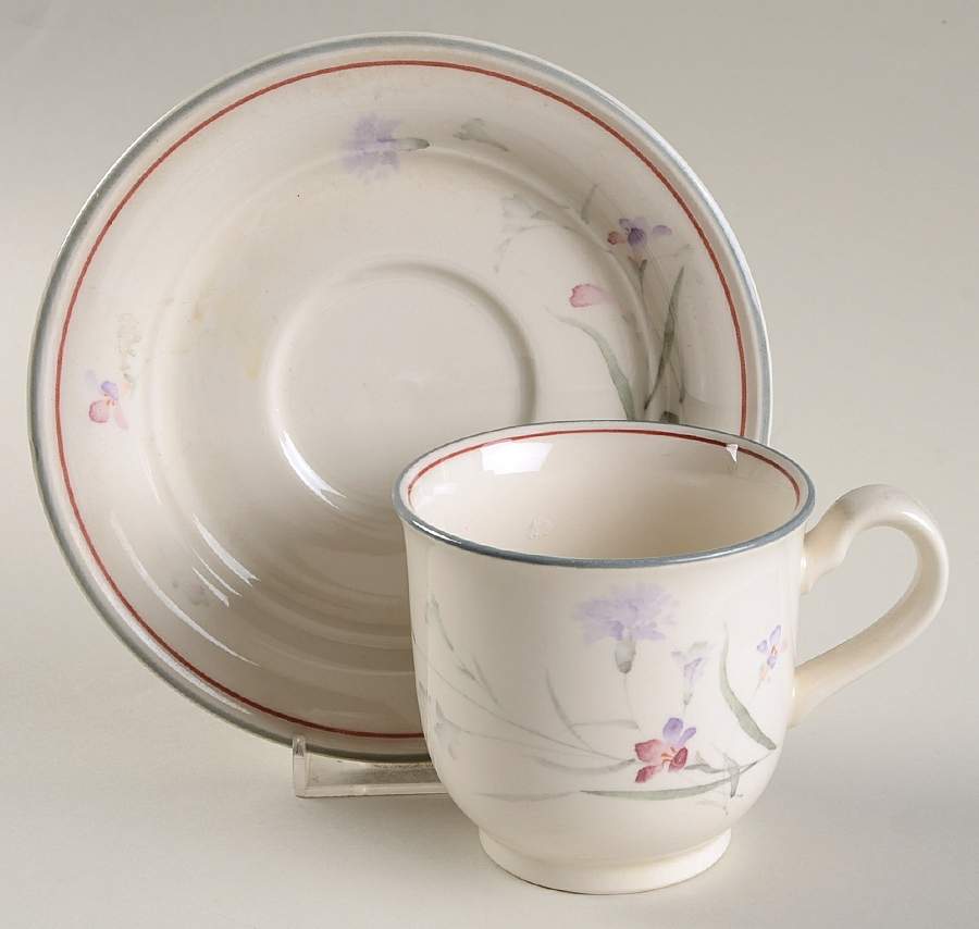 River Oaks Footed Cup & Saucer Set by Noritake-1