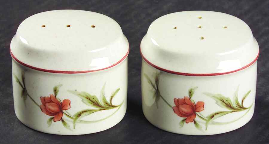 Roanoke Salt & Pepper Set by Noritake-1