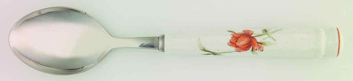 Roanoke Place/Oval Soup Spoon by Noritake-1