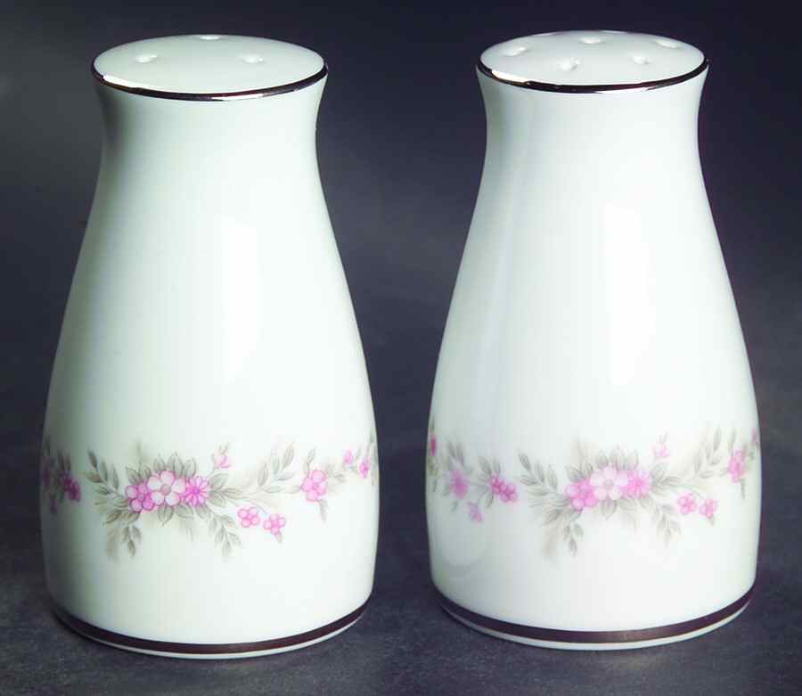 Rosepoint Salt & Pepper Set by Noritake-1