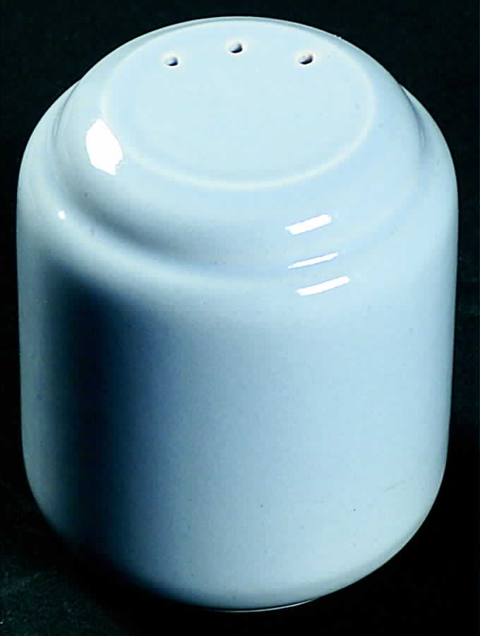 Roxy Salt Shaker by Noritake-1