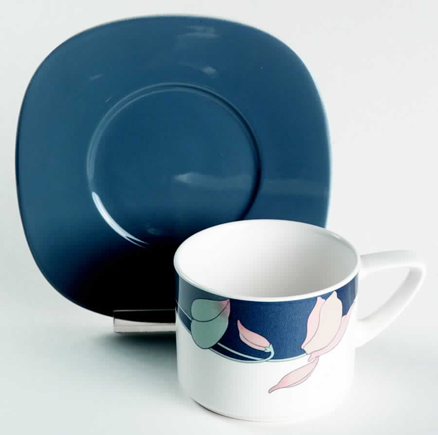 Santa Barbara Flat Cup & Saucer Set by Noritake-1