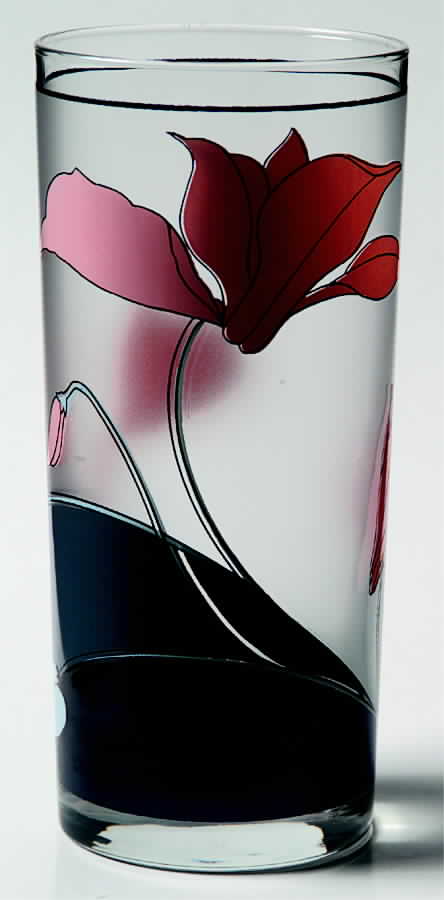 Santa Barbara Glassware Tall Tumbler by Noritake-1