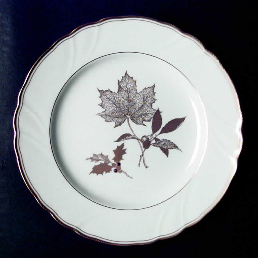 Salutation Accent Salad Plate by Noritake-1