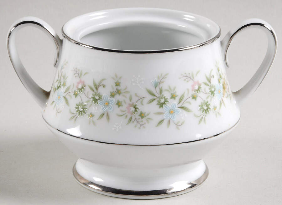 Savannah (Rim, Platinum) Sugar Bowl No Lid by Noritake-1