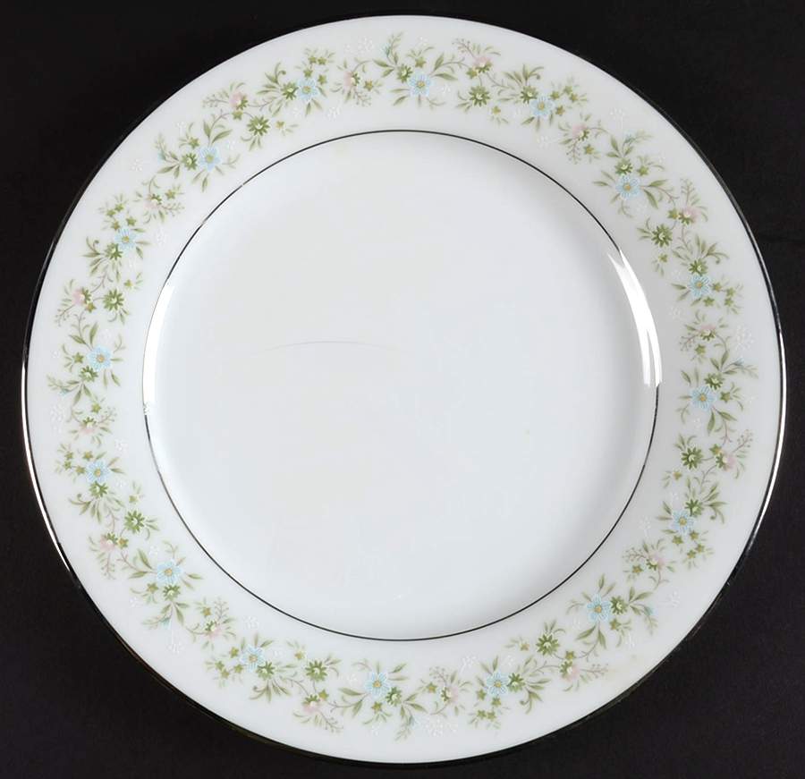 Savannah (Rim, Platinum) Luncheon Plate by Noritake-1