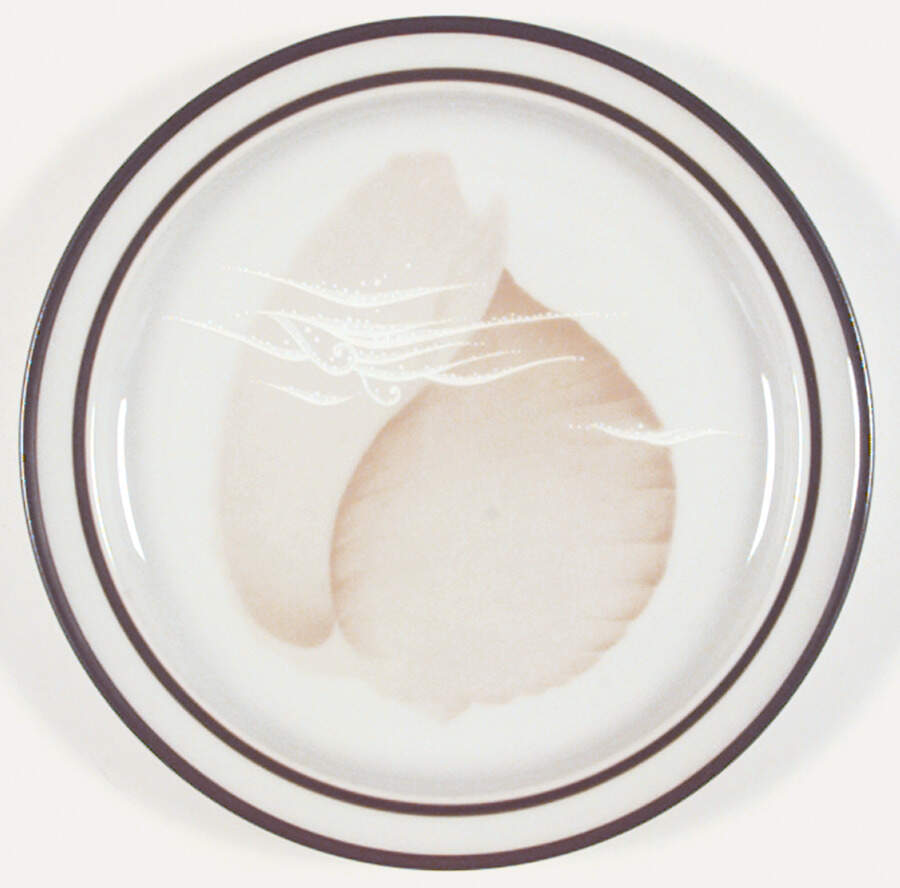 Seaview Salad Plate by Noritake-1