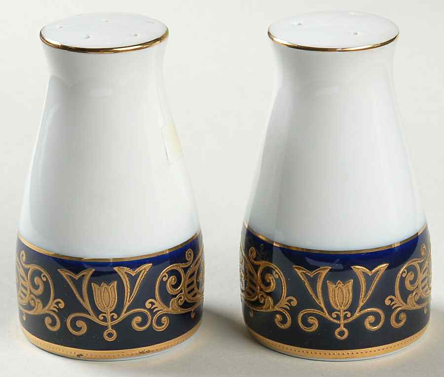 Shahzada Salt & Pepper Set by Noritake-1