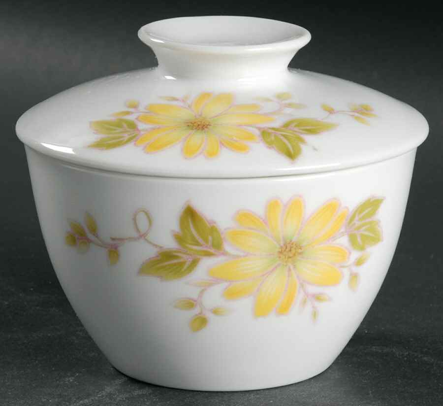 Shasta Sugar Bowl & Lid by Noritake-1