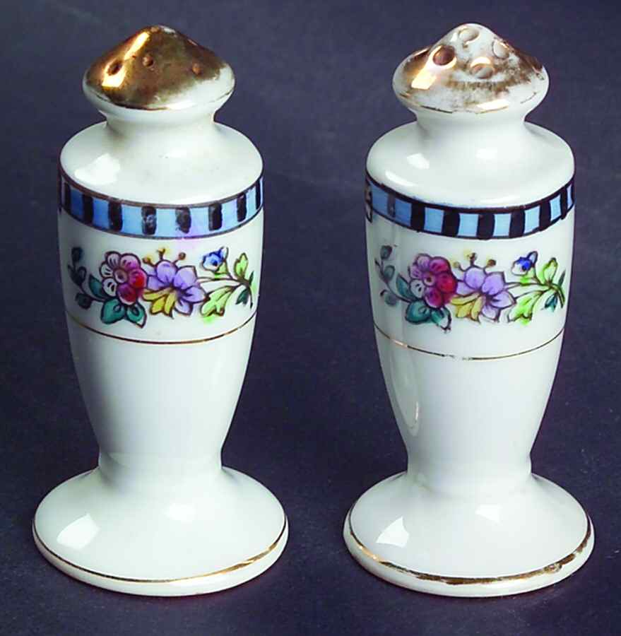 Sheridan Individual Salt & Pepper Set by Noritake-1
