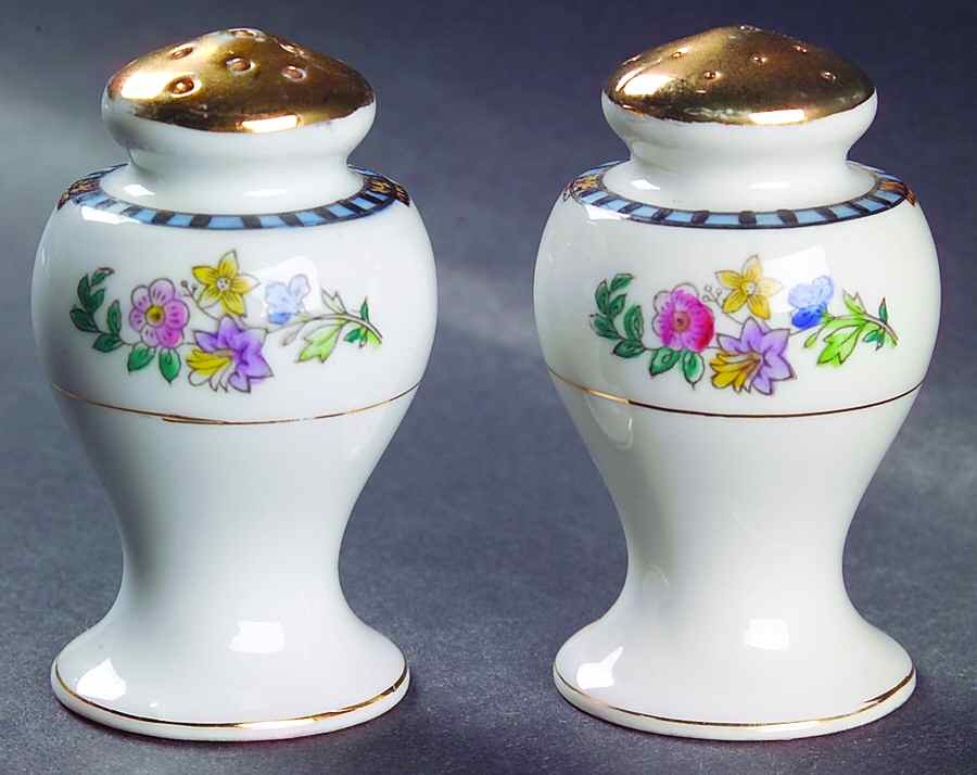 Sheridan Salt & Pepper Set by Noritake-1