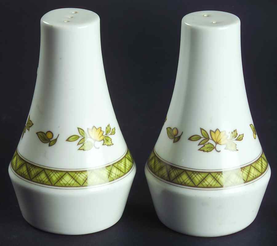 Shenandoah Salt & Pepper Set by Noritake-1